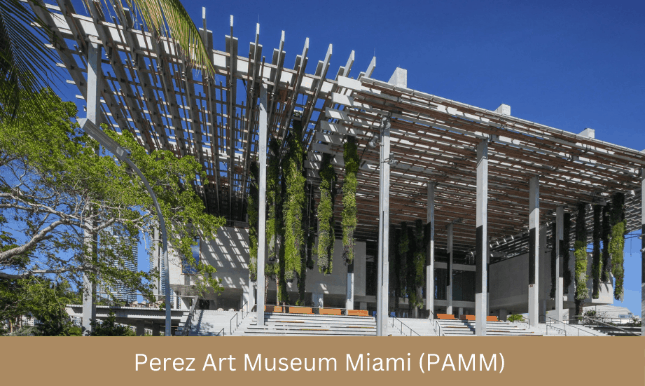 things to do in miami