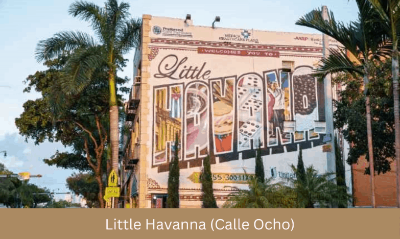 things to do in miami