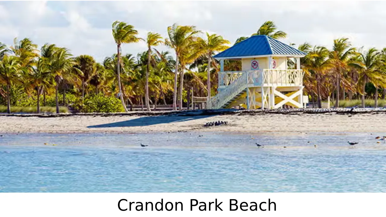 best beaches in miami