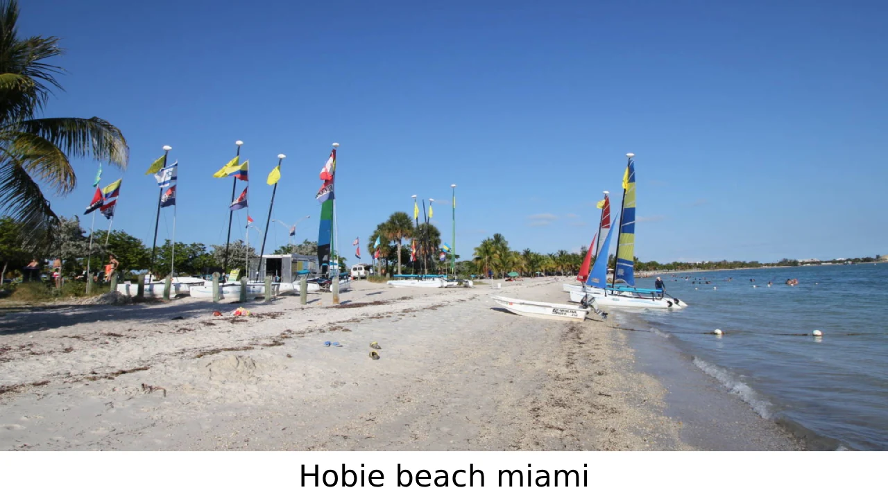 best beaches in miami